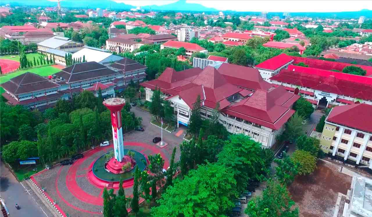 ysu